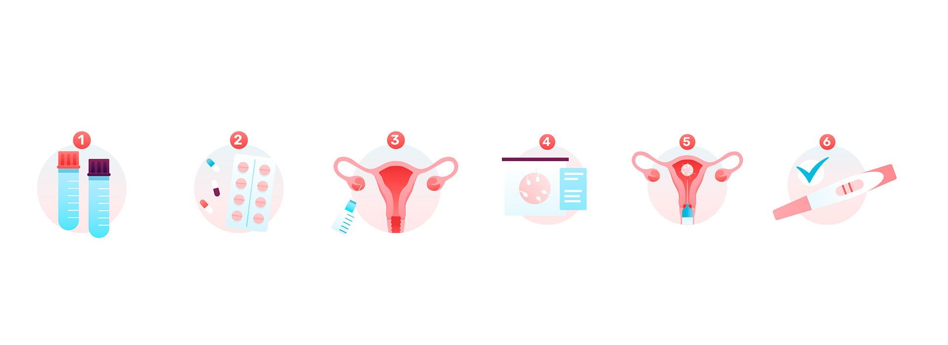 Tüp Bebek Aşamaları