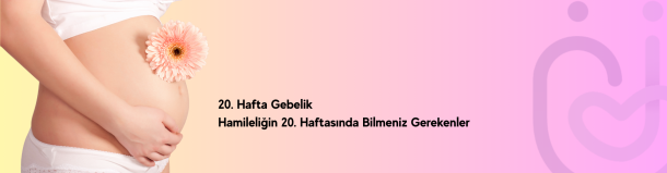 20. hafta gebelik - Hamileliğin 20. haftası için bilmeniz gerekenler