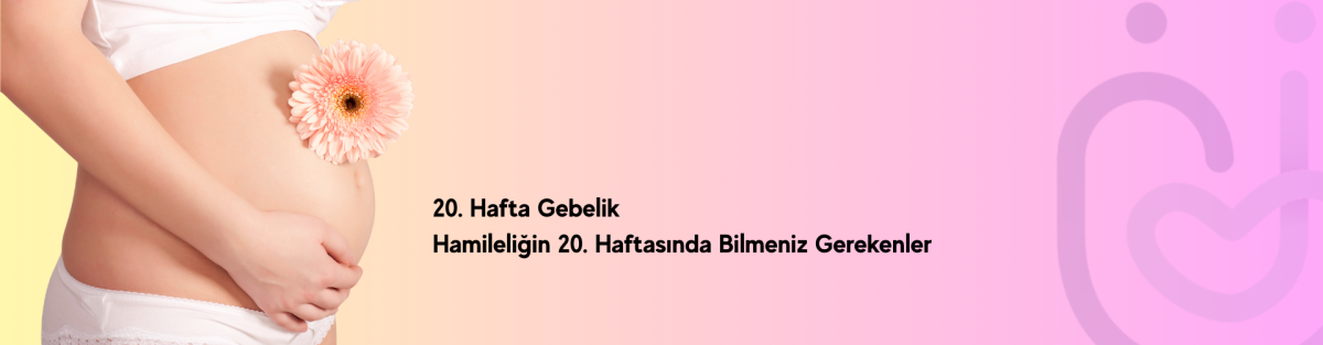 20. hafta gebelik - Hamileliğin 20. haftası için bilmeniz gerekenler