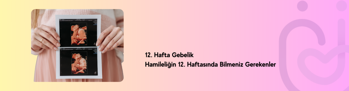 12. Hafta Gebelik – Hamileliğin 12. Haftasında Bilmeniz Gerekenler