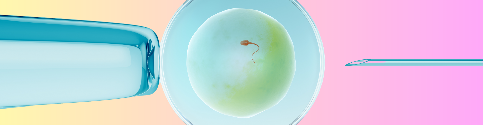 Yaz Aylarında T&uuml;p Bebek Tedavisi: Avantaj mı, Dezavantaj mı?