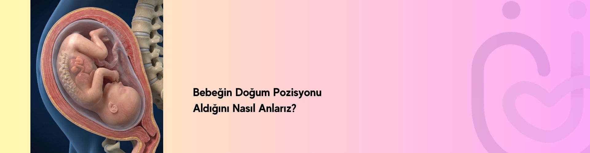 Bebeğin doğum pozisyonu aldığını gösteren hamile kadın görseli