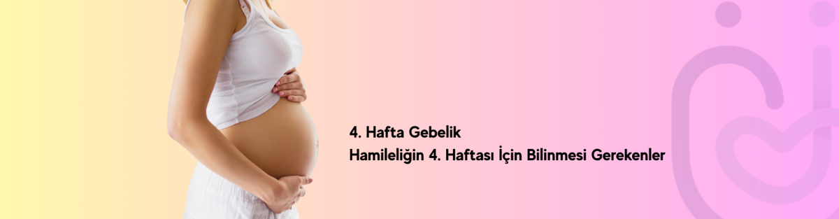 4. Hafta Gebelik