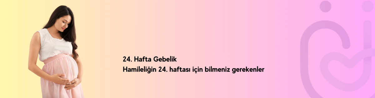 24 hafta gebelik