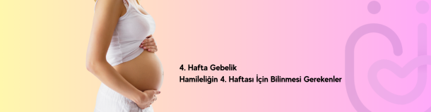 4. Hafta Gebelik